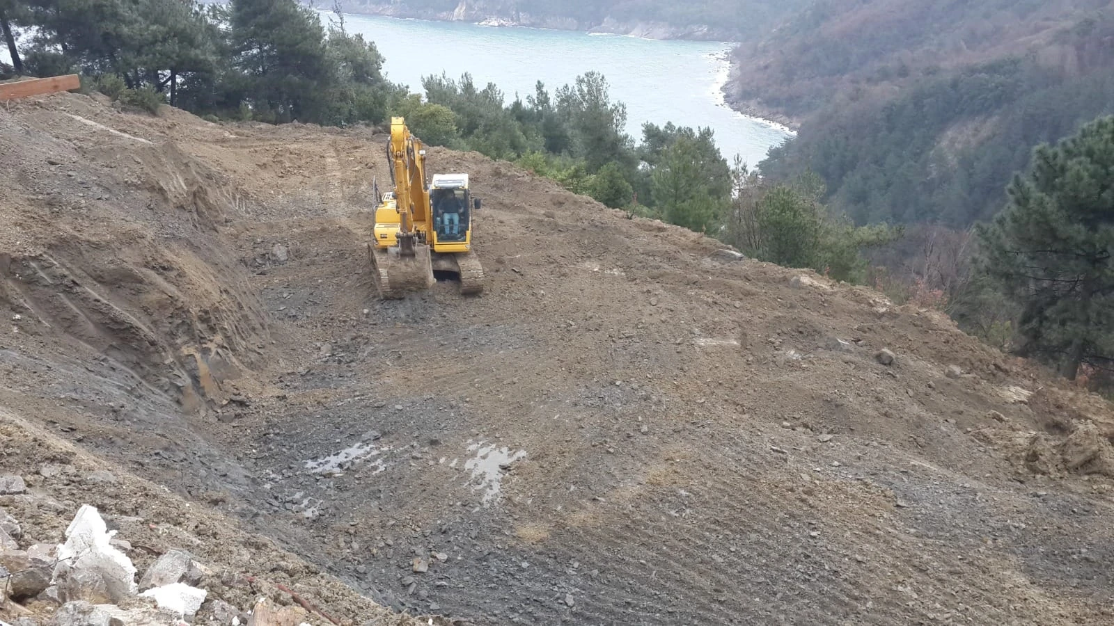 Arı İnşaat Mimarlık